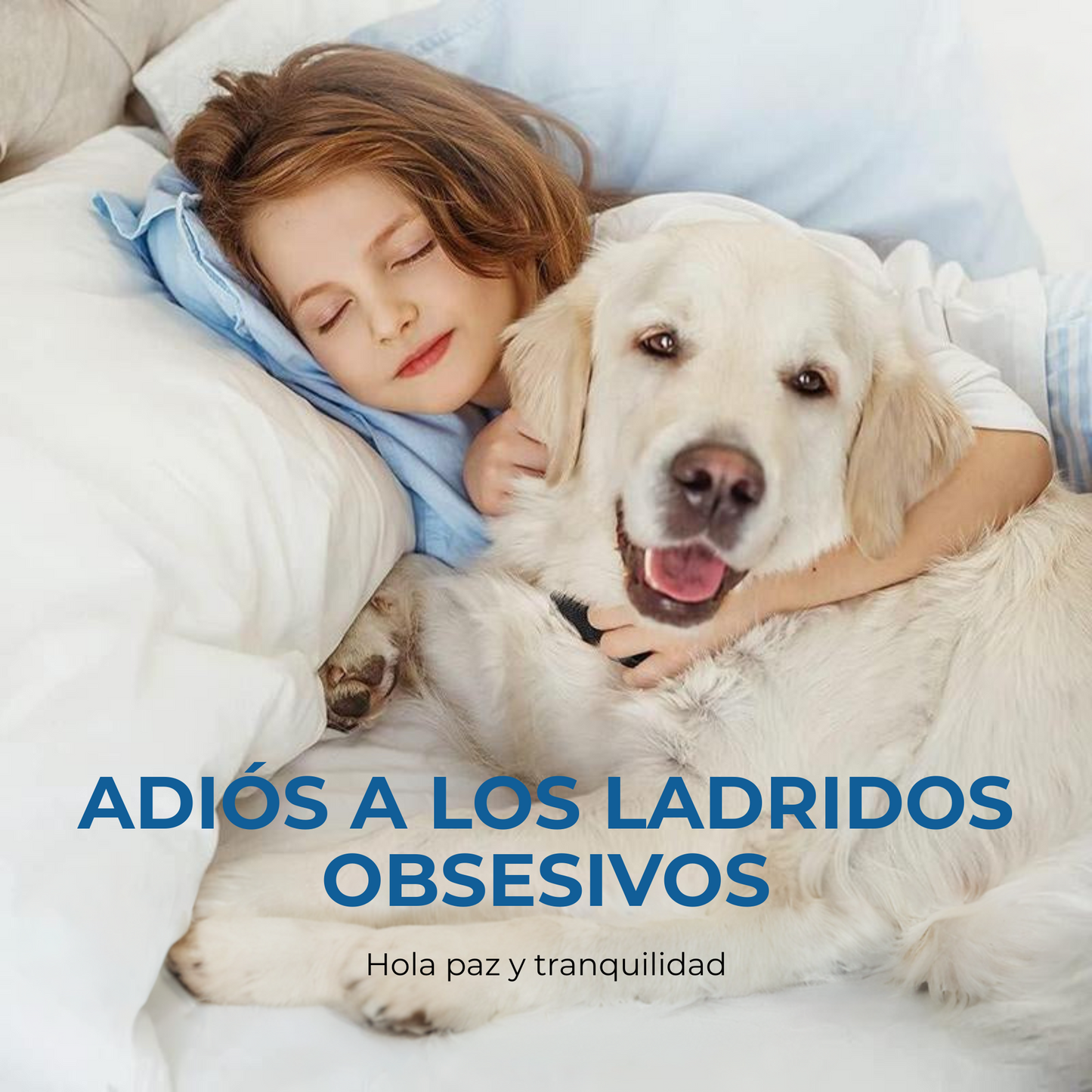 Collar Antiladridos LED DogCare