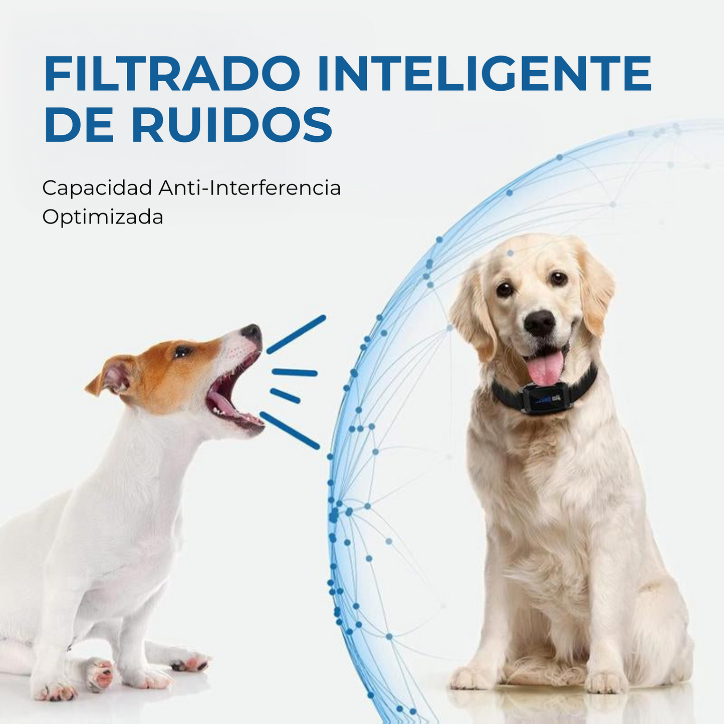 Collar Antiladridos LED DogCare