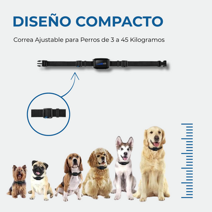 Collar Antiladridos LED DogCare