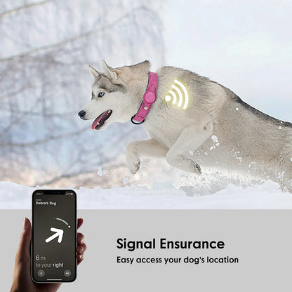 PU Leather Dog Collar High Quality Pet Collars Necklace Anti-Lost Tag Collar Adjustable for Small Medium Pet Dogs Accessories