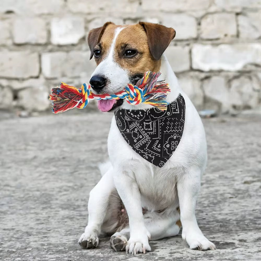 Dog Collar and Dog Bandanas Pet Collar Fancy Dog Collar with Bandana for Small Medium and Large Dogs Adjustable Pet Scarf Collar