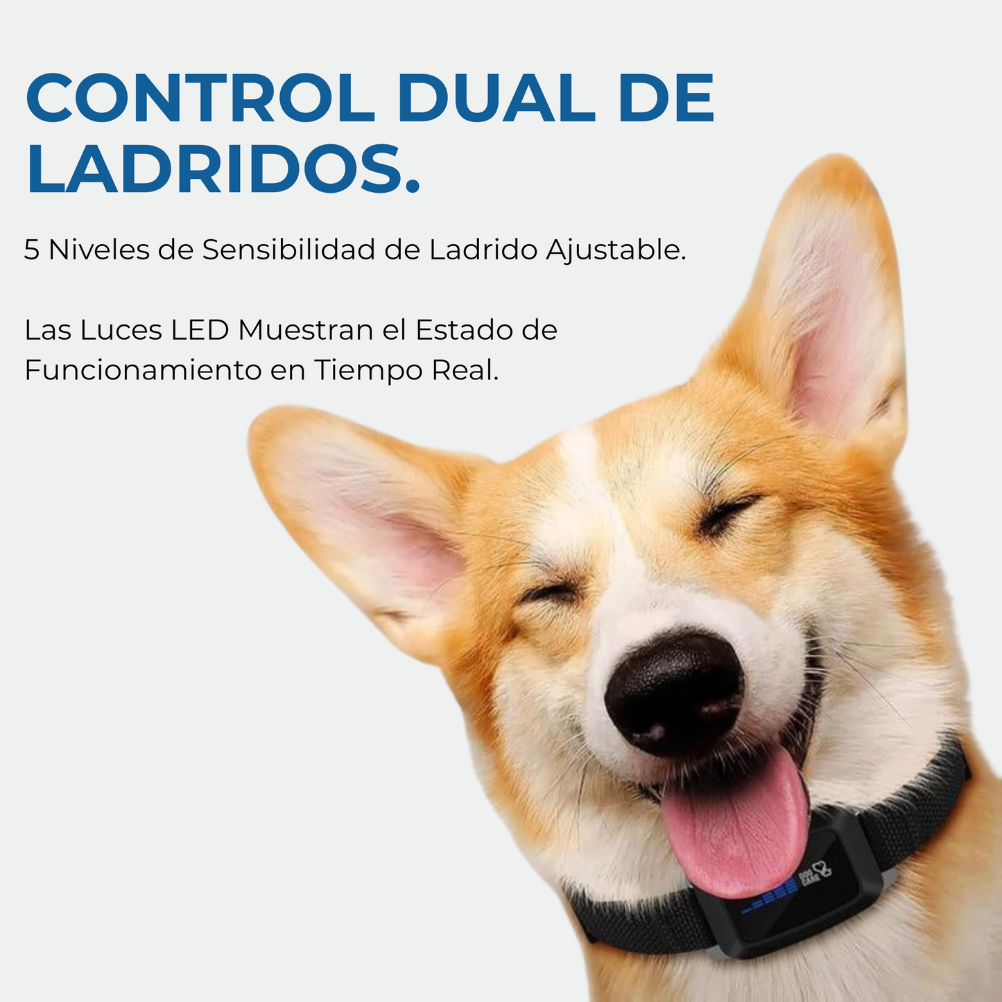 Collar Antiladridos LED DogCare