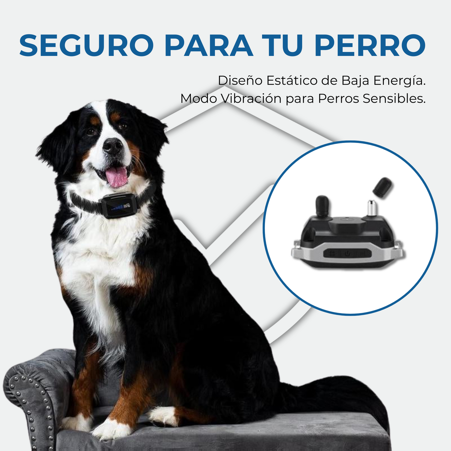 Collar Antiladridos LED DogCare