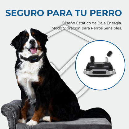 Collar Antiladridos LED DogCare